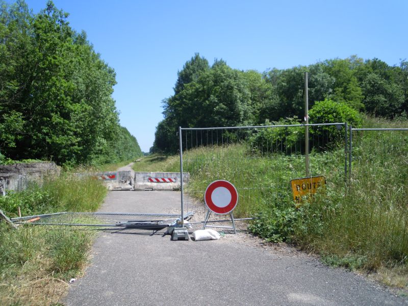 DSCN0630.JPG