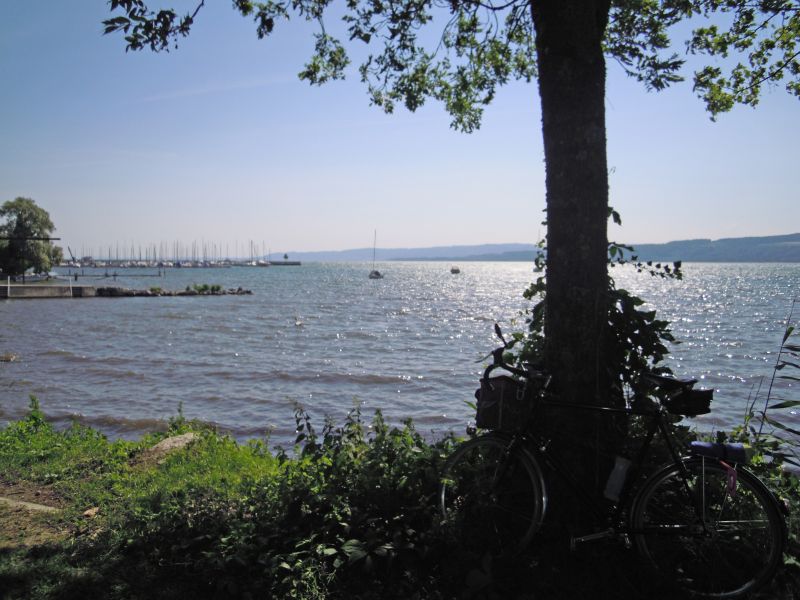DSCN0642.JPG