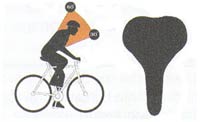 Selle intermédiaire = position inclinée