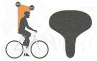 Selle large = position droite
