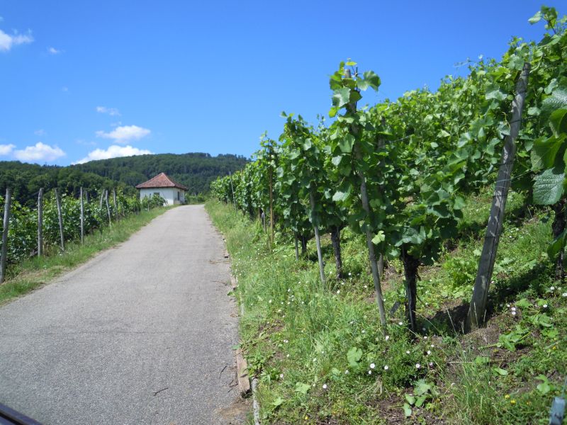 DSCN0682.JPG