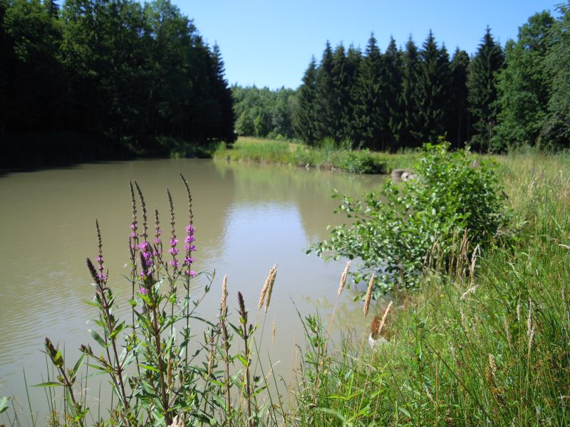DSCN0689.JPG