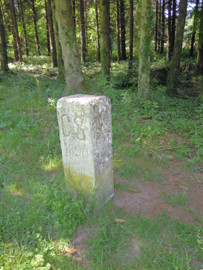 DSCN0691.JPG