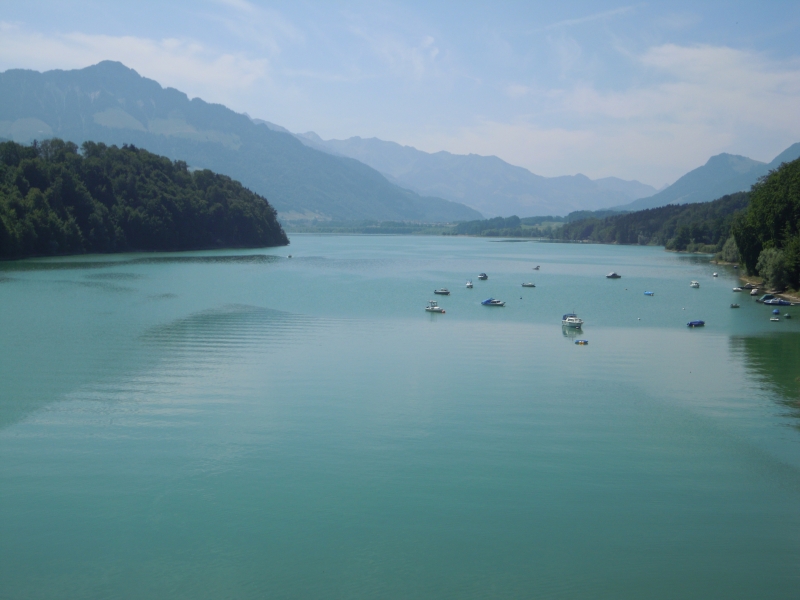 DSCN0711.JPG