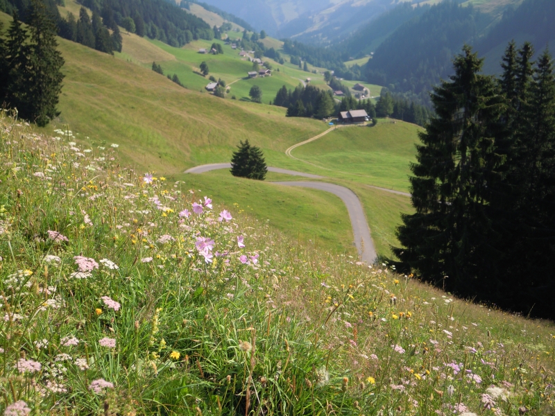 Col de Grubenberg