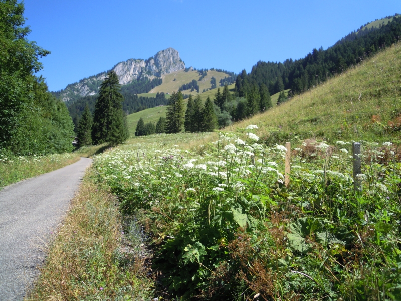 Montée vers le Hongrin
