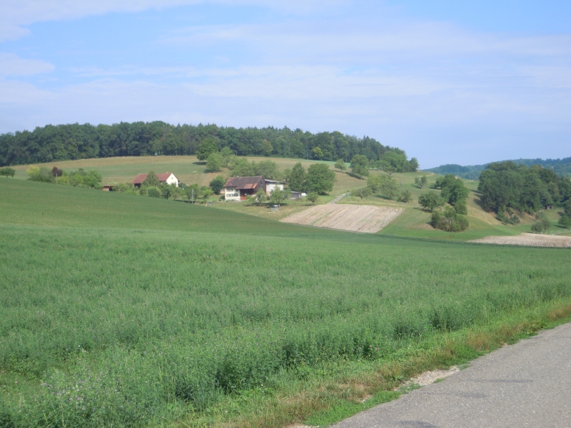 DSCN0790.JPG