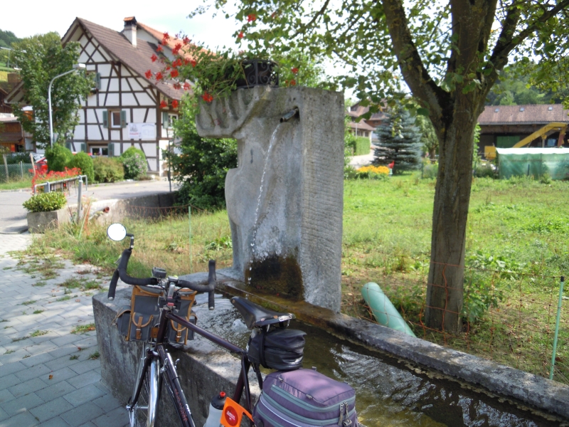 DSCN0796.JPG