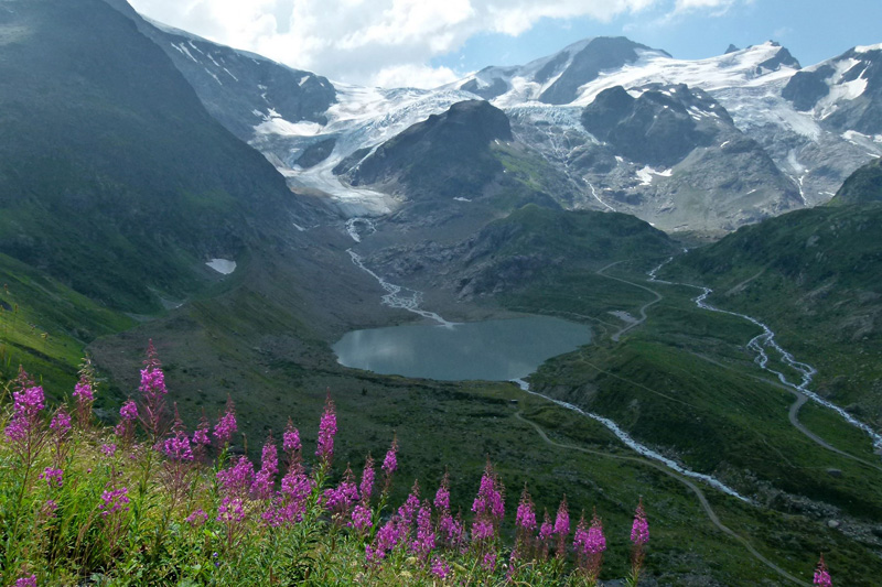 Sustenpass.jpg