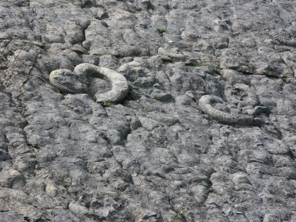 IMG_7549.jpg