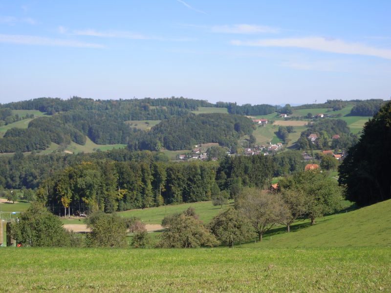 DSCN0807.JPG