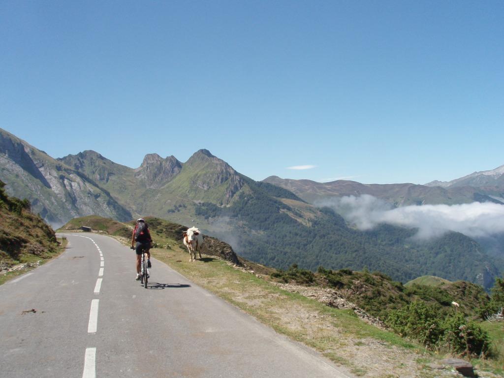 Vélo Pyrénées.JPG