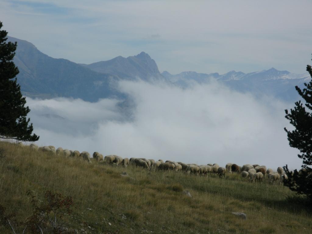 rencontre