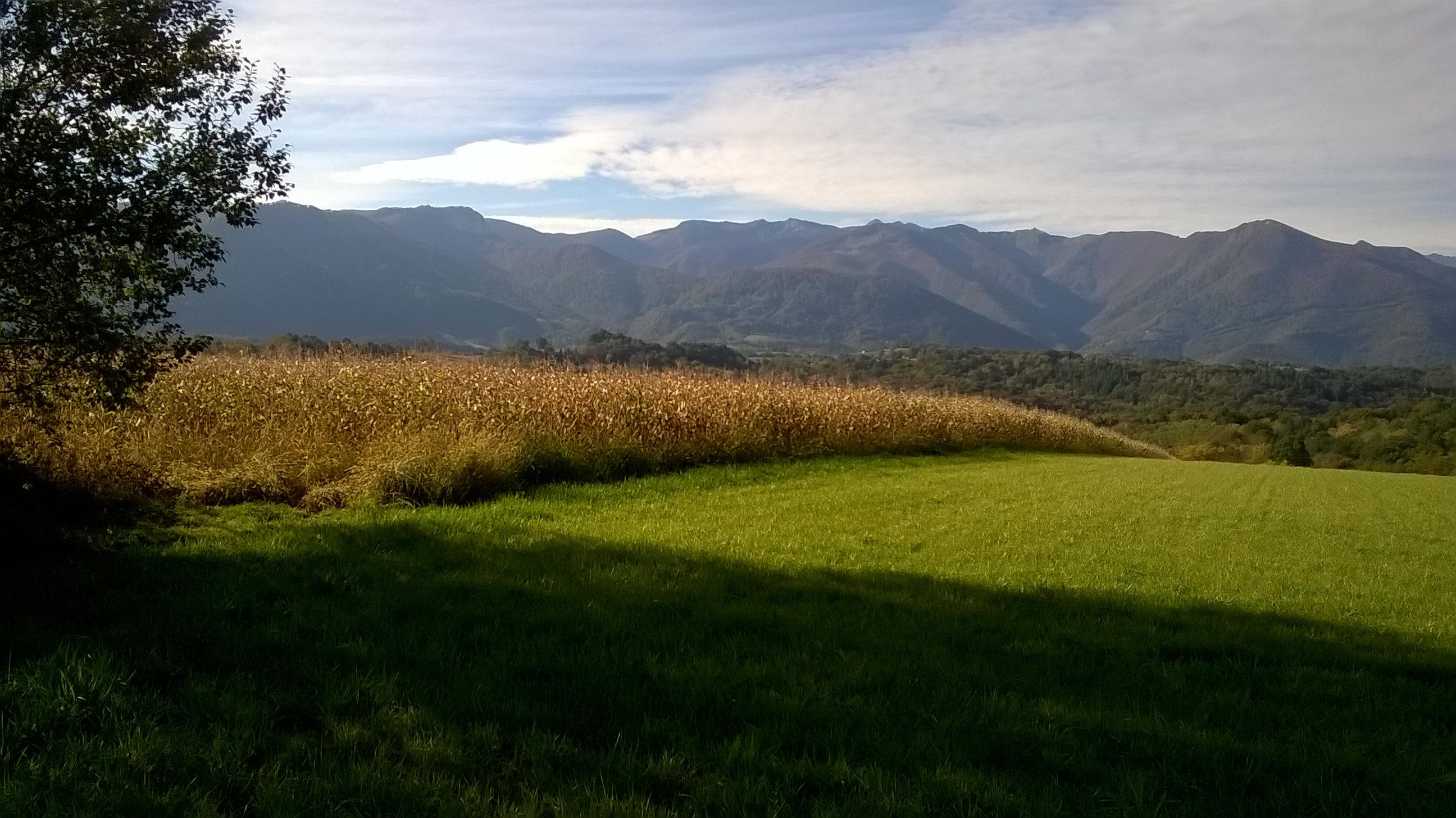 WP_20151026_002.jpg