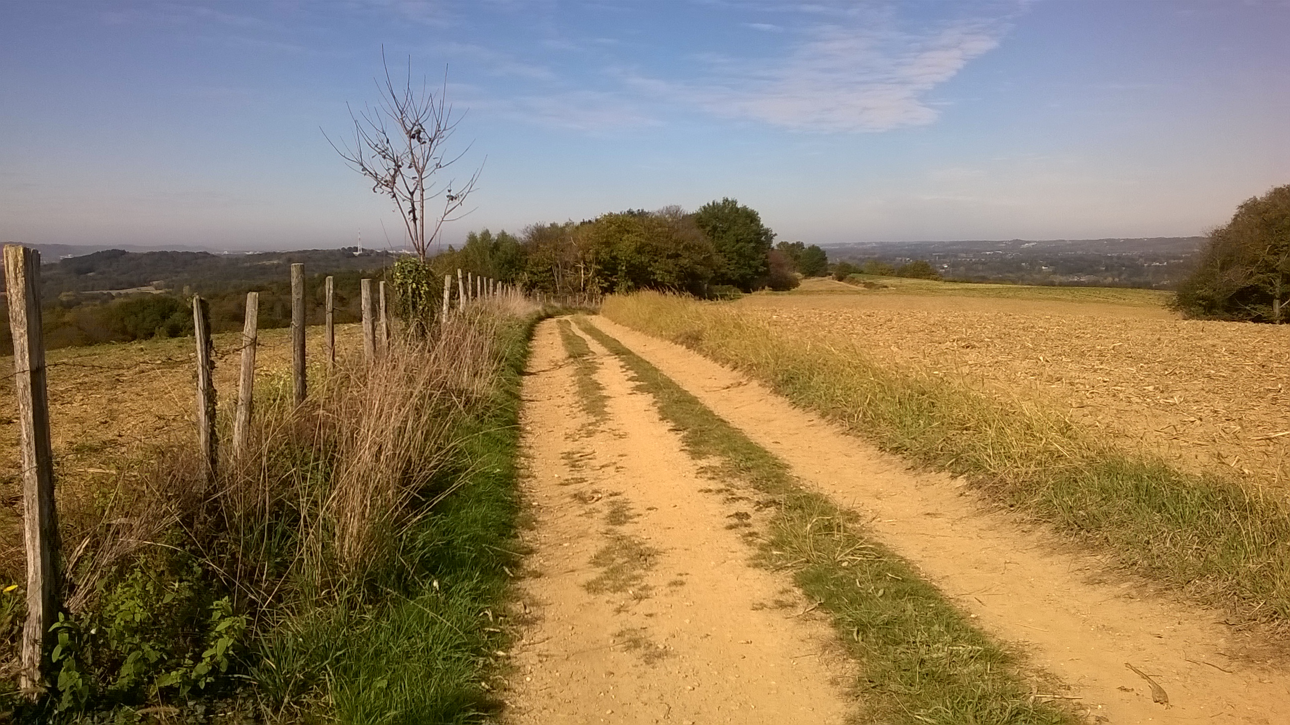 WP_20151026_006.jpg
