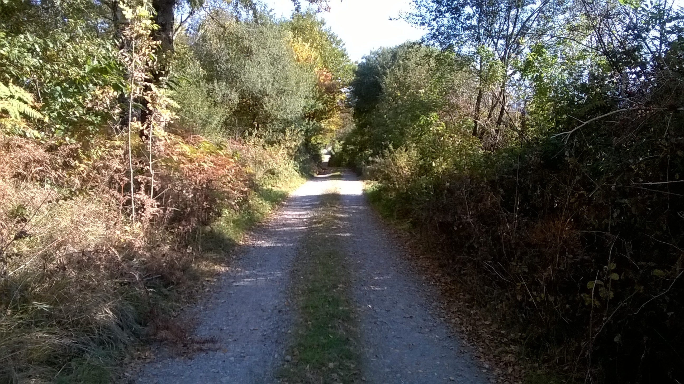 WP_20151026_009.jpg