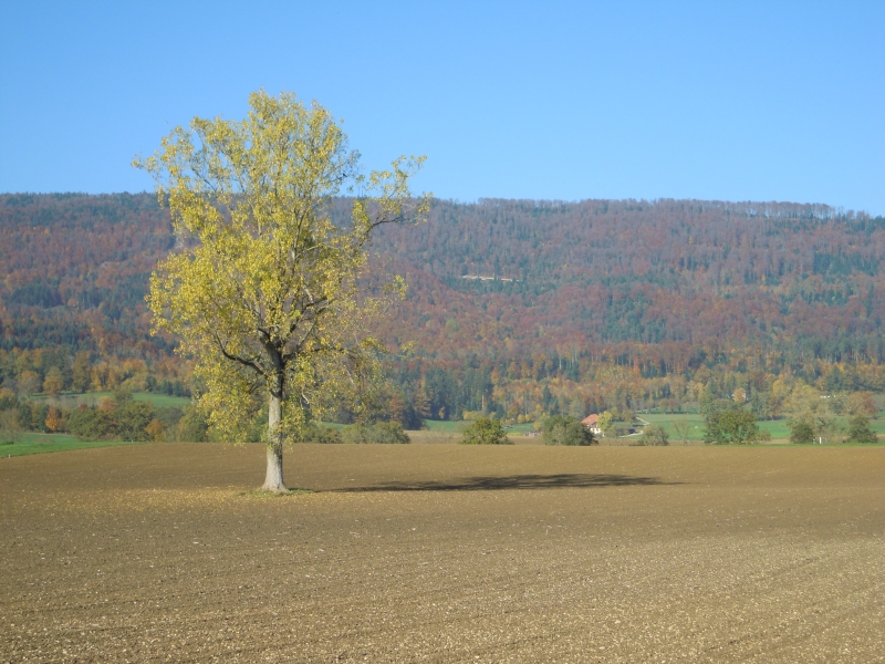 DSCN0853.JPG
