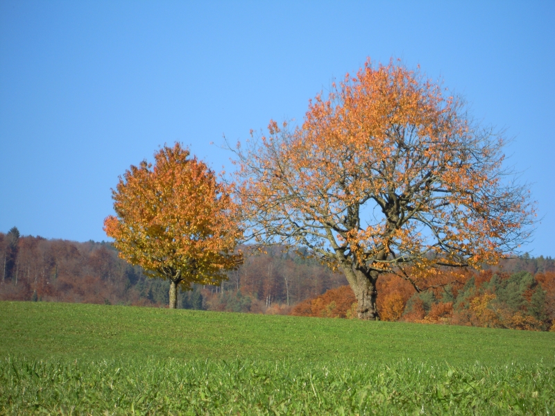 DSCN0875.JPG
