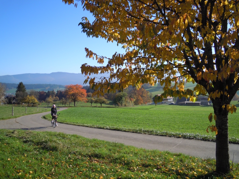 DSCN0879.JPG