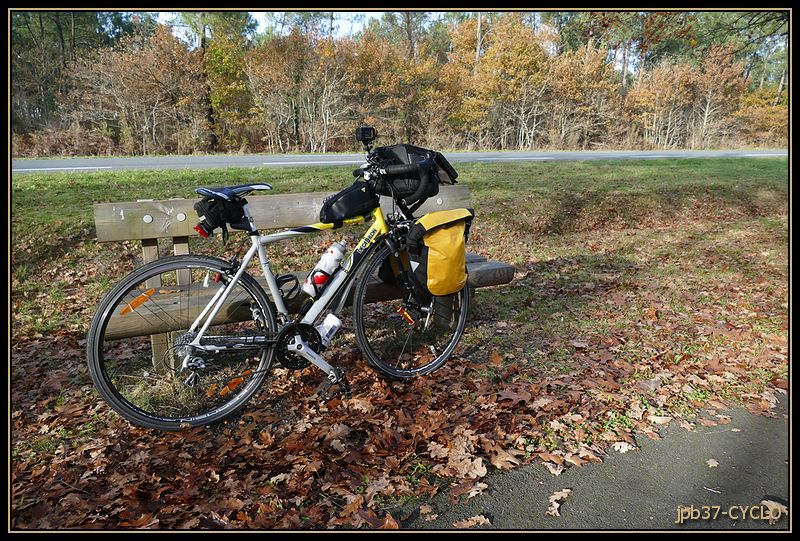 151205-2890-cyclo.jpg
