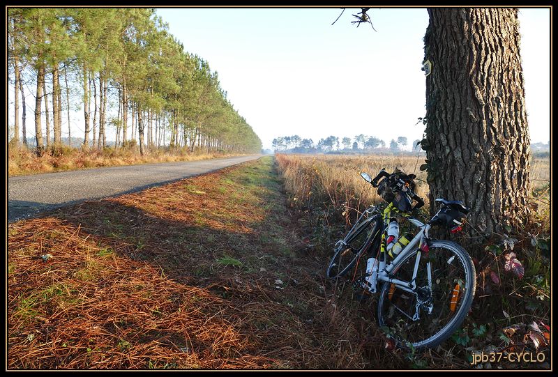 151212-2894-cyclo.jpg