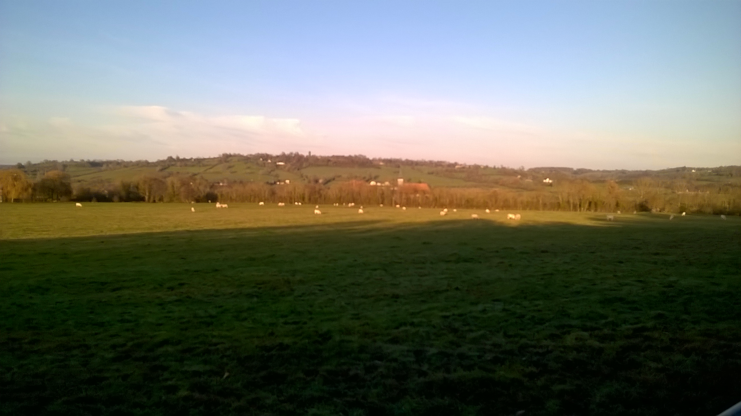 WP_20151213_005.jpg