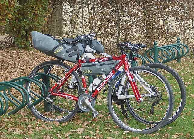sacs apidura.jpg