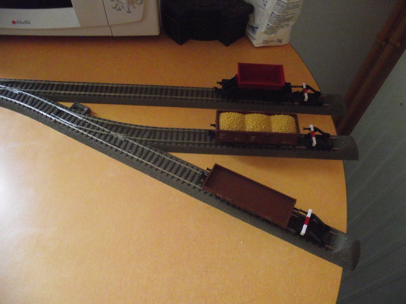 DSCF5377.jpg