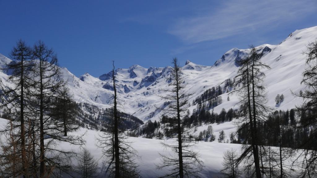 Vallon du Lauzannier
