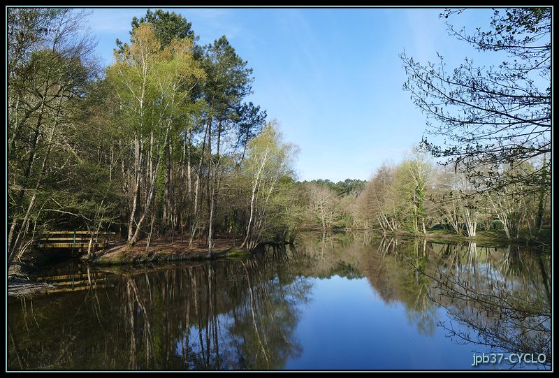L'eau Bourde (Cestas)