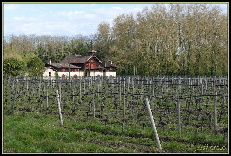 Château de Saint-Médard-d'Eyrans