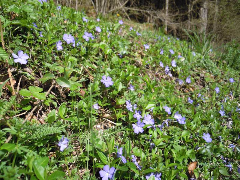 DSCN0932.JPG