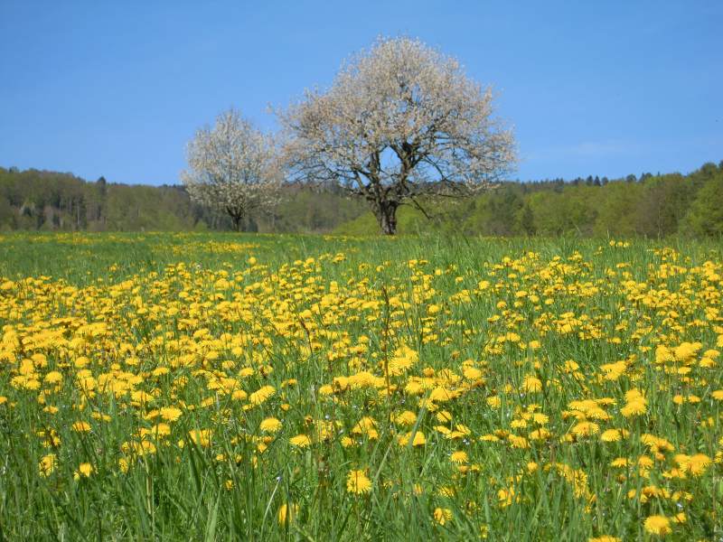 DSCN0933.JPG