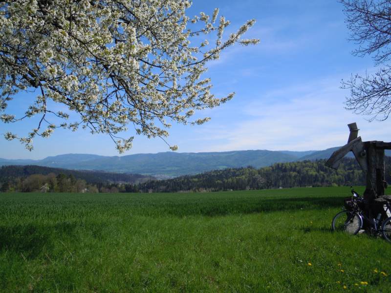 DSCN0934.JPG