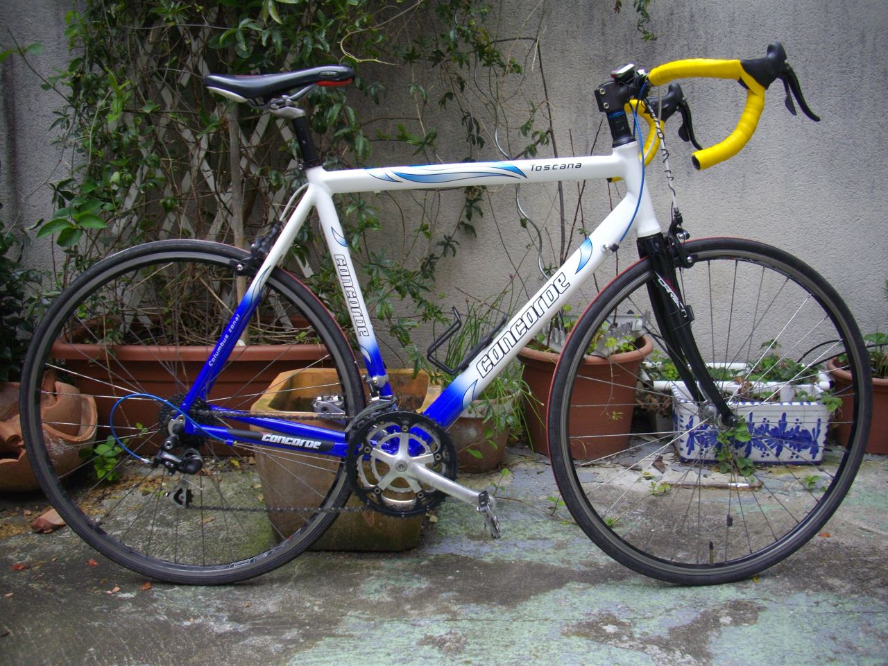 Concorde Toscana.jpg