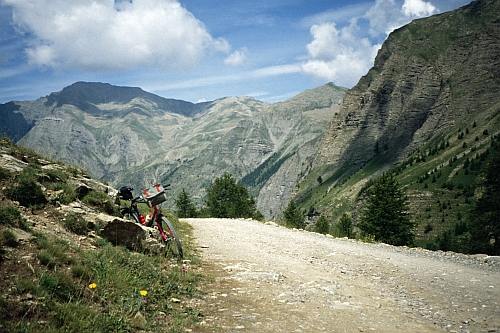 S436051B.jpg