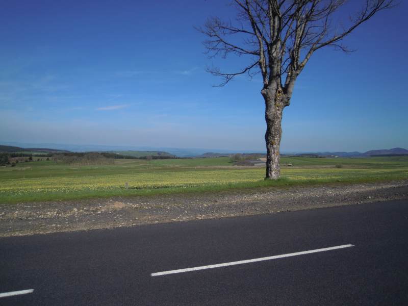 DSCN0974.JPG