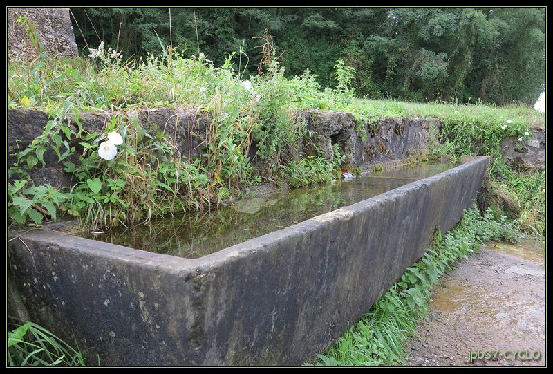 L'abreuvoir