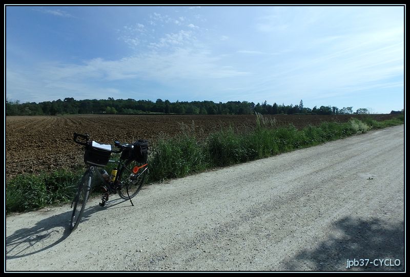 160521-cyclo_3140.jpg