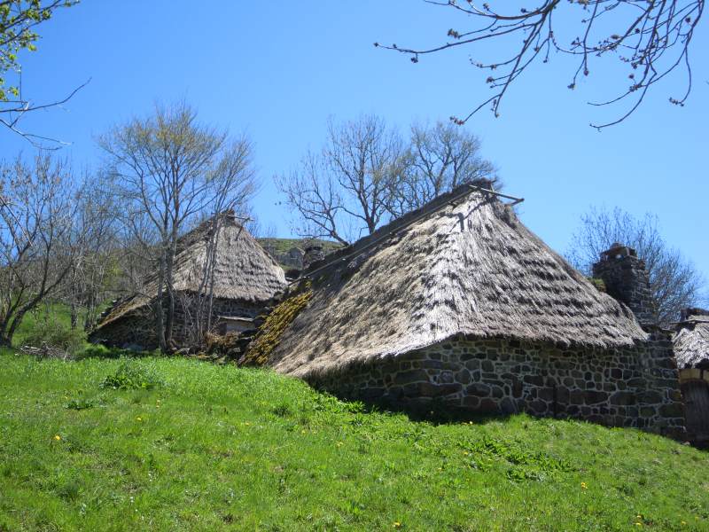 DSCN0956.JPG