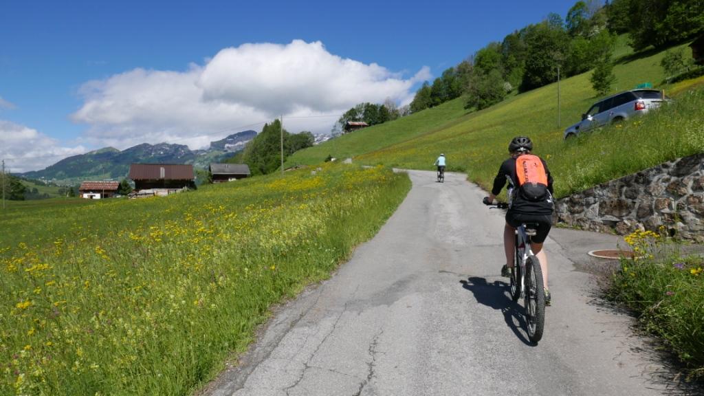 Routes des Voëttes. Au fond Montagne de Leysin