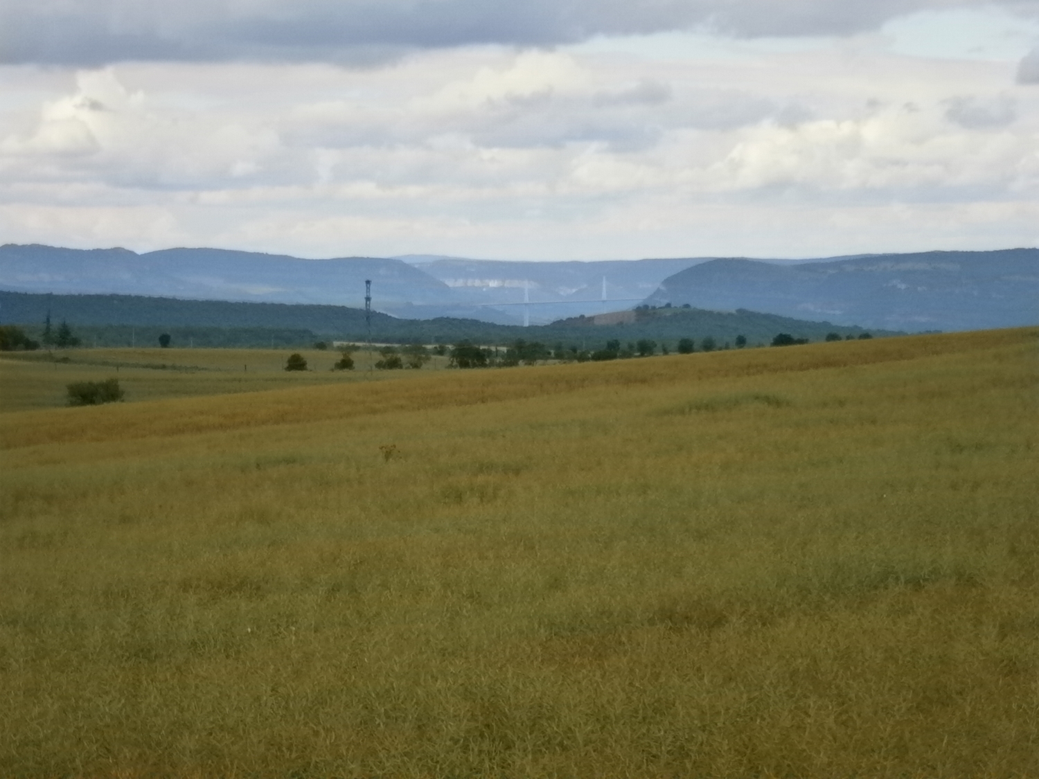Au fond une partie du viaduc de Millau