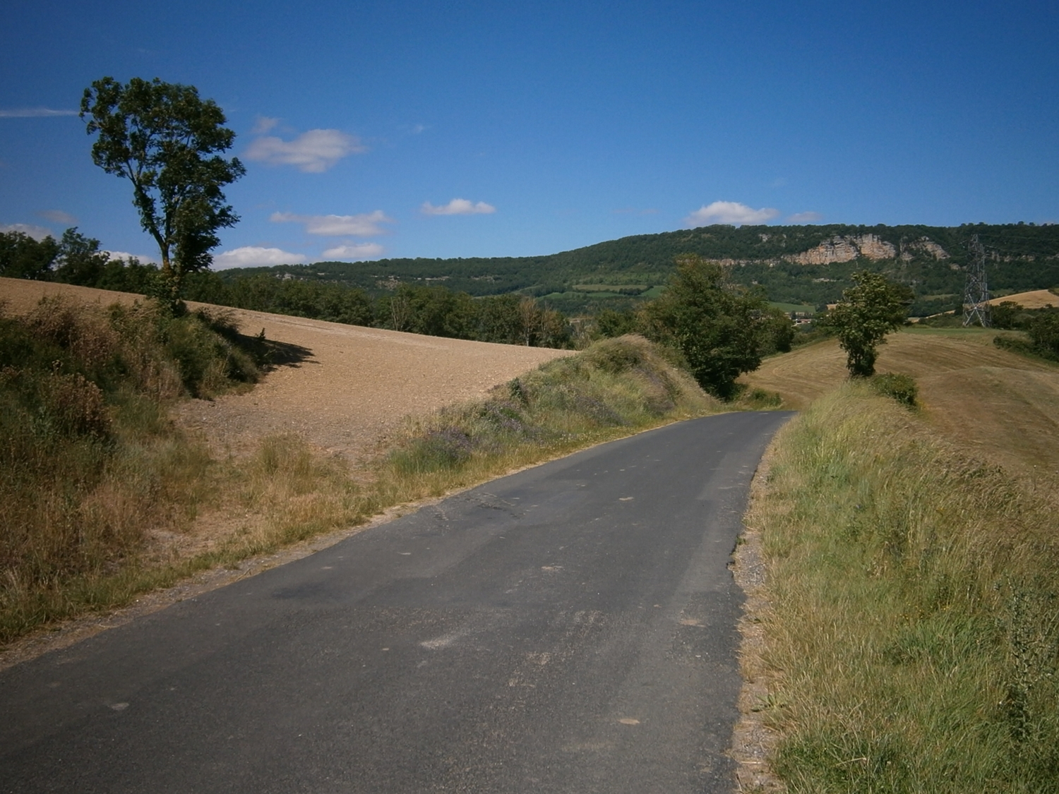 L'avant causse de St Jean d'Alcas et le Larzac en arrière plan
