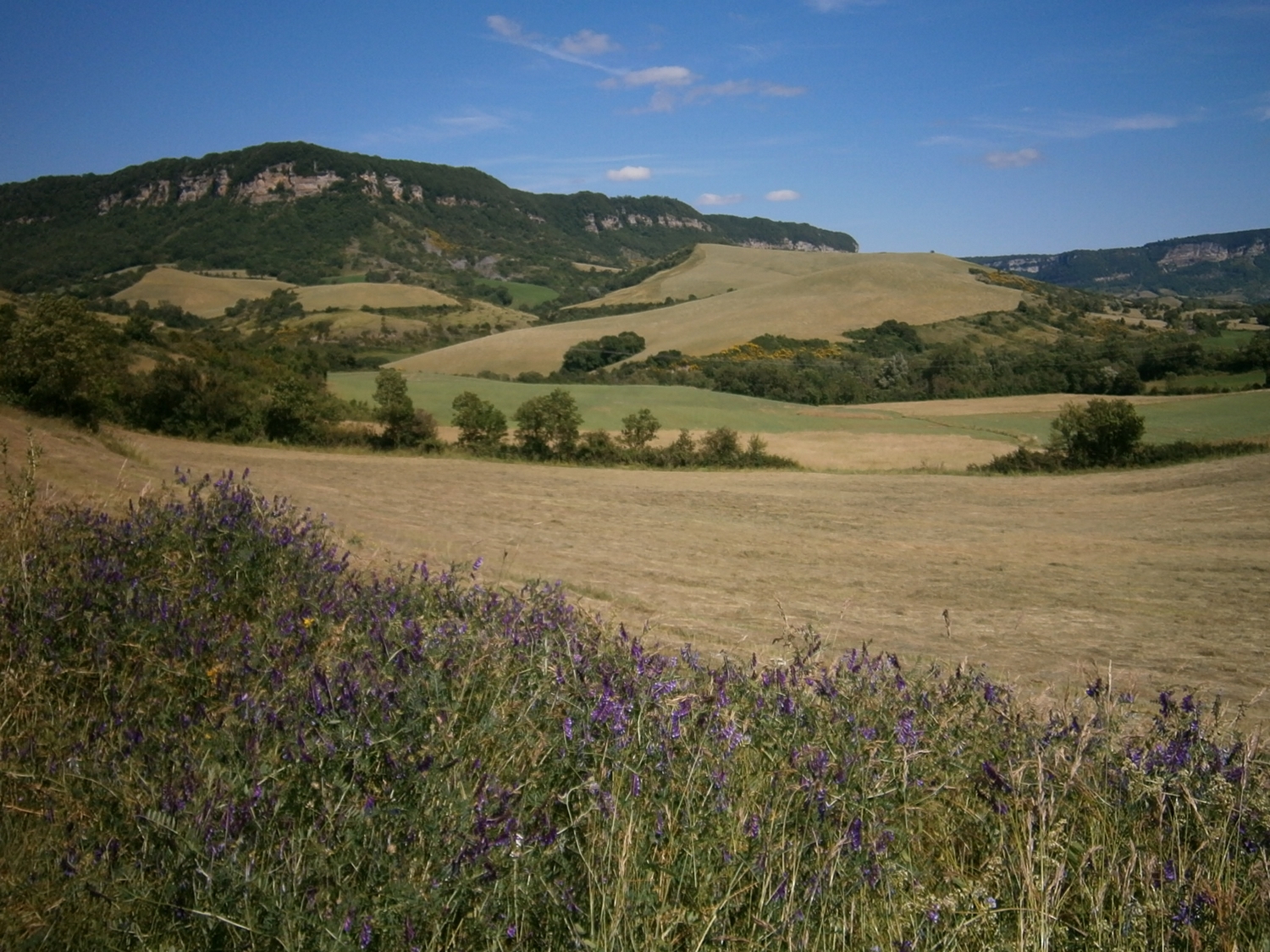 L'avant causse de St Jean d'Alcas et le Larzac en arrière plan