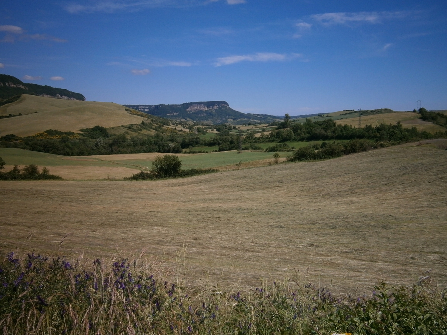 L'avant causse de St Jean d'Alcas et le Larzac en arrière plan