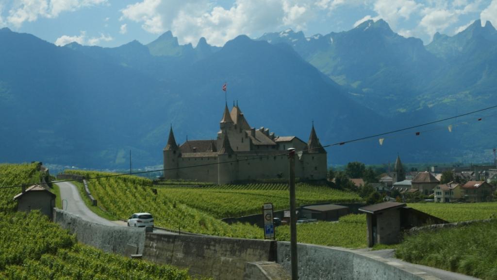 Château d'AIGLE et ses vignobles