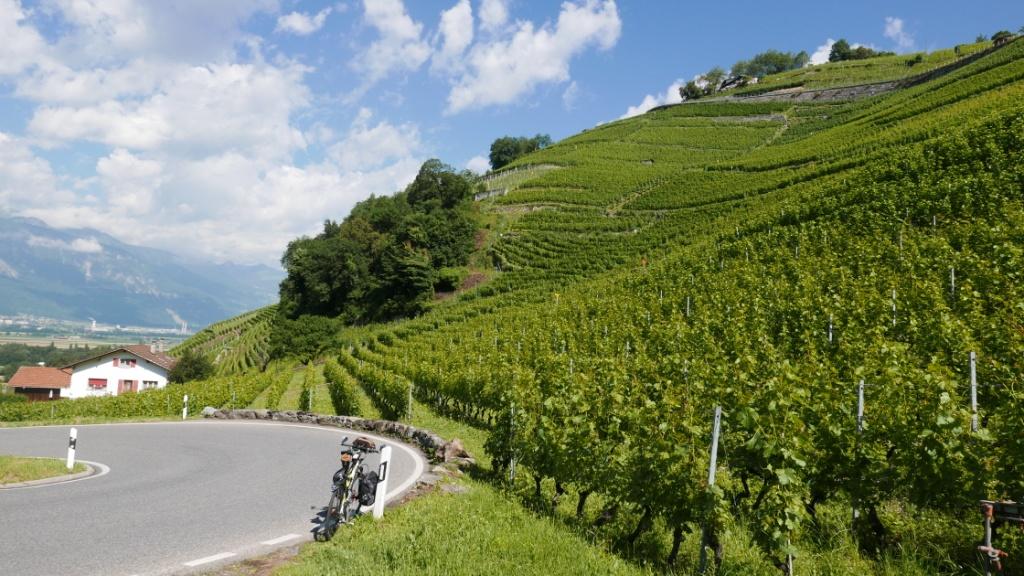vignobles de Bex