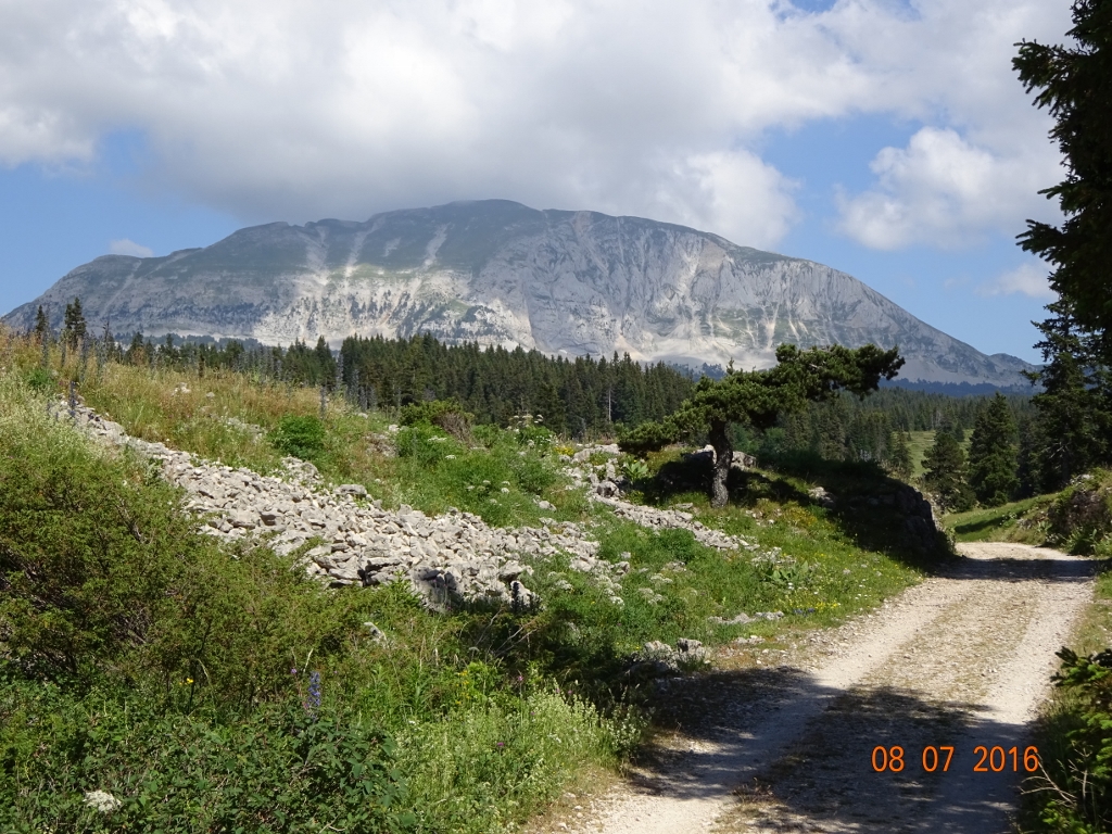 DSC00506 (1024x768).jpg