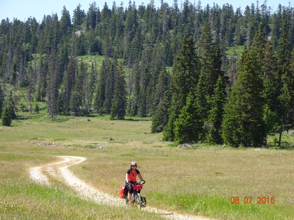 DSC00509 (1024x768).jpg