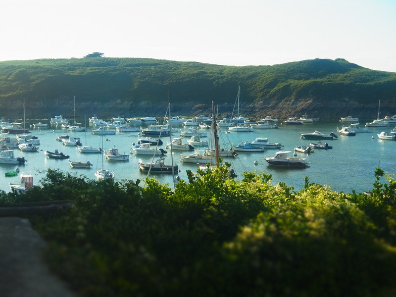 Le port du Conquet - 1
